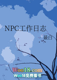 npc工作日志百度云