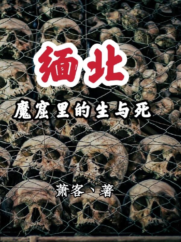 缅北魔窟里的生与死小说结局是什么