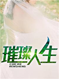 上门女婿叶辰萧初然全集完整版