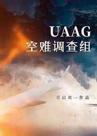 uaag空难调查组小说讲的什么