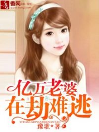 亿万老婆小说完整版