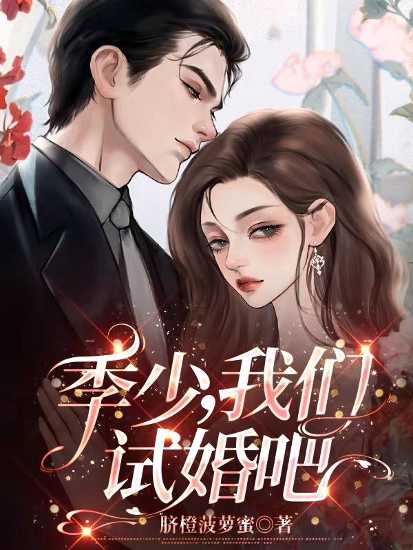 季少闪婚小说