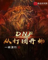 dnf从开始到现在