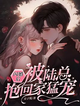 闪婚后被顾总宠