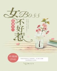 boss追妻进行中免费阅读