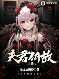 夫君何故出逃免费完整版